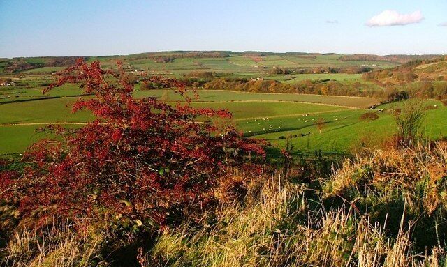 Hawthorn, Brant Gate Path Looking north towards the Eston Hills.