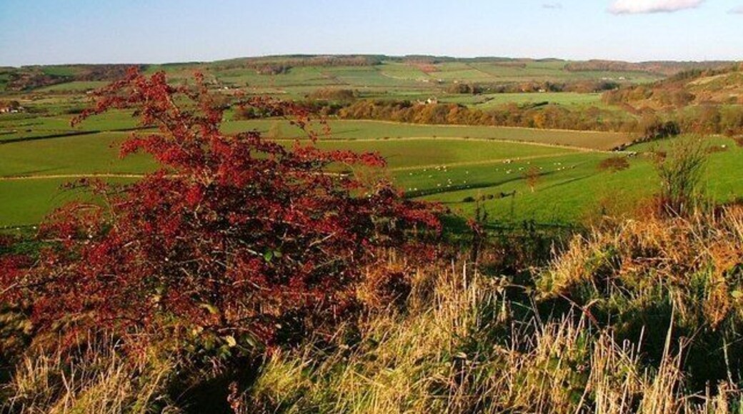 Hawthorn, Brant Gate Path Looking north towards the Eston Hills.