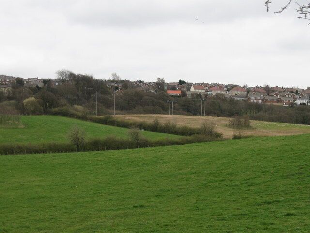 Fields SE of Herd House Lane