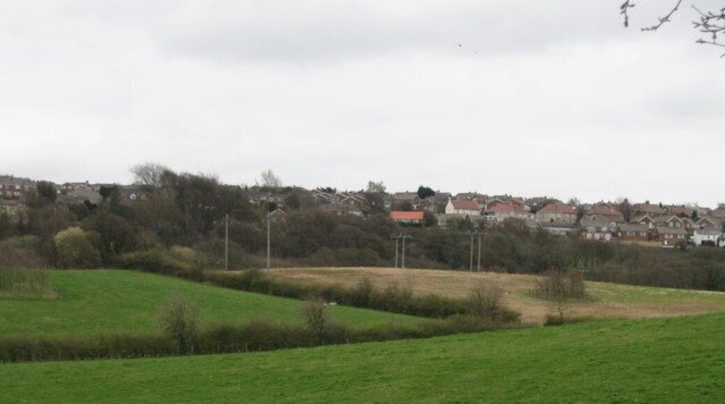 Fields SE of Herd House Lane