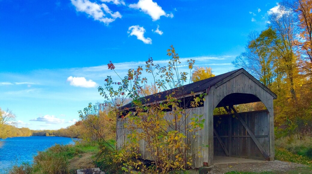This covered bridge sits along the shore of the Grand River near Grand Valley State University.
#fall #coveredbridge #grandriver #bridge
