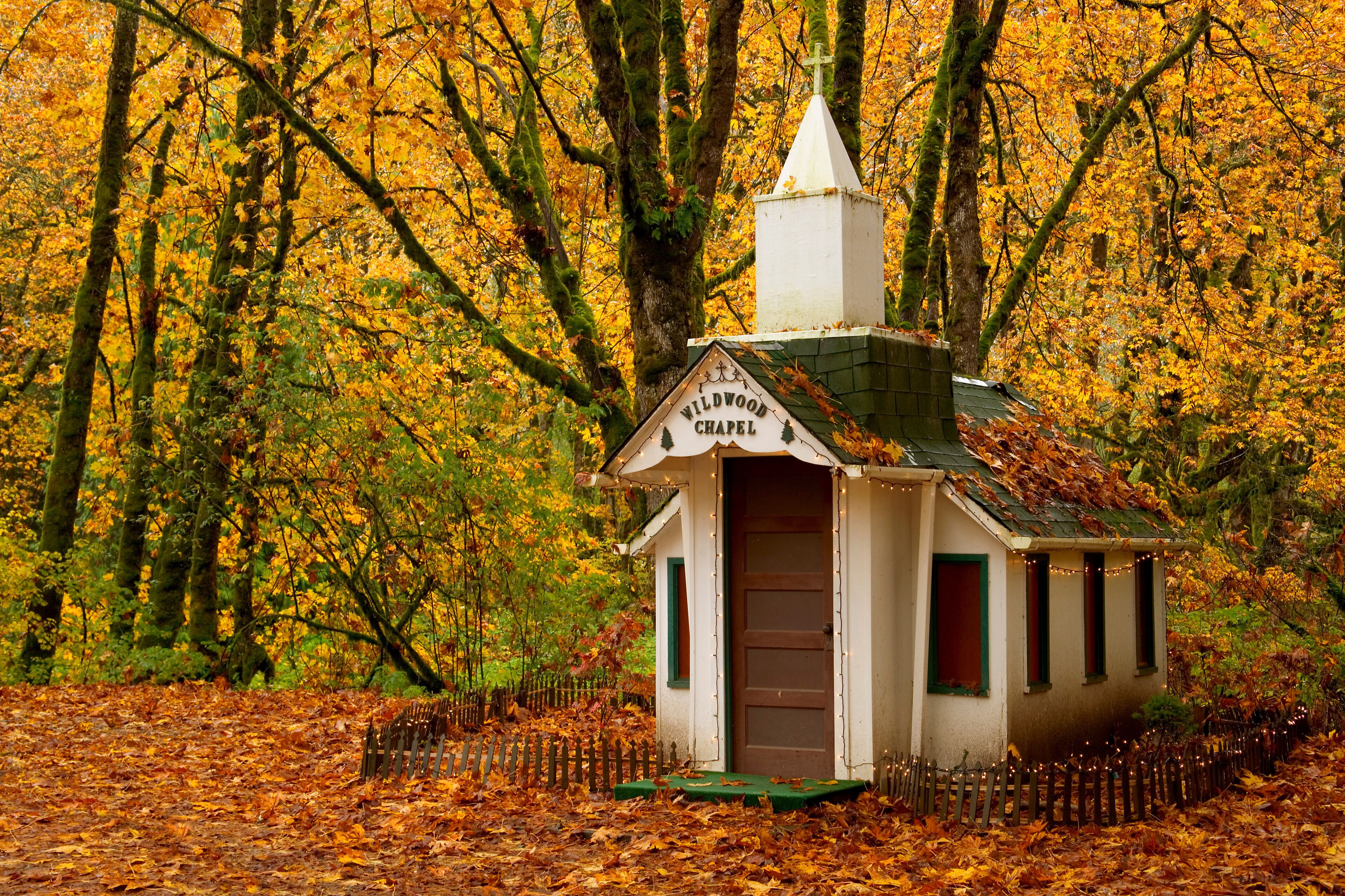 Facade of a chapel in a forest