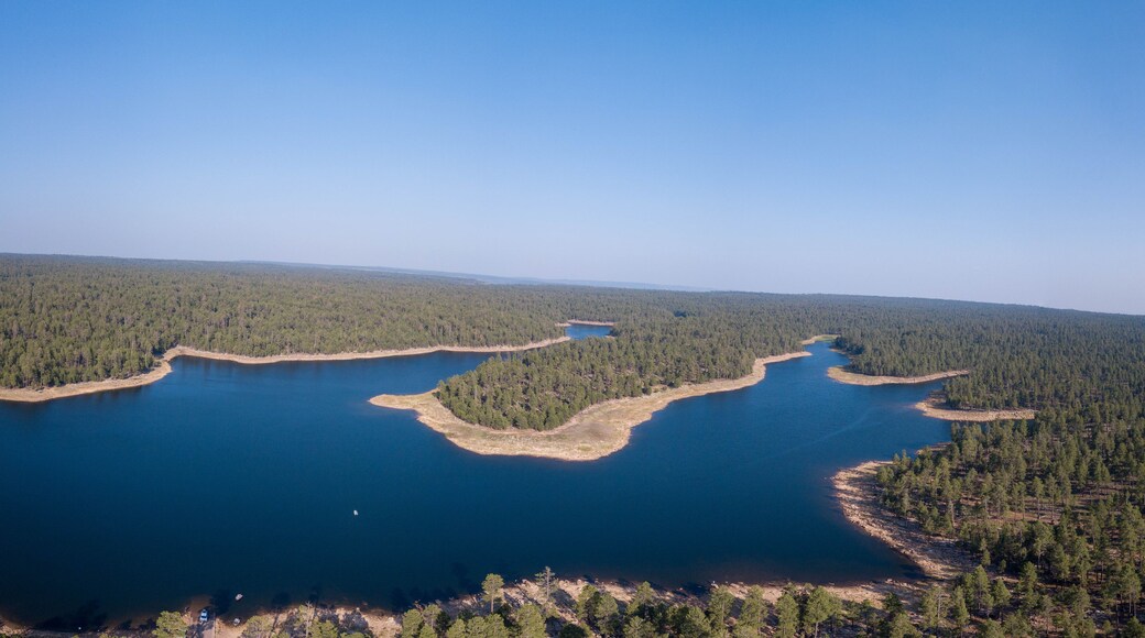 Un'ampia distesa d'acqua circondata da una fitta foresta.