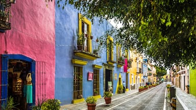 Una calle colorida bordeada de edificios vibrantes, plantas en macetas y un camino de adoquines.