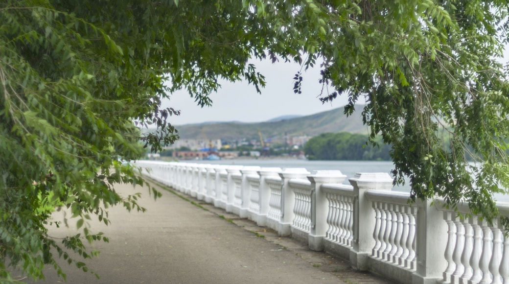 Irtysh River Embankment Seen Through the Tree Crown Arch with Blurred Dockside Cranes, Apartment Blocks, Houses, and Mountains on a Summer Day, Ust-Kamenogorsk, Kazakhstan