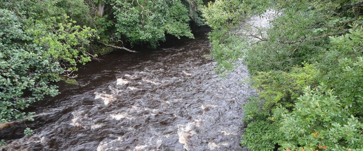 A fast-flowing river surrounded by dense green foliage.