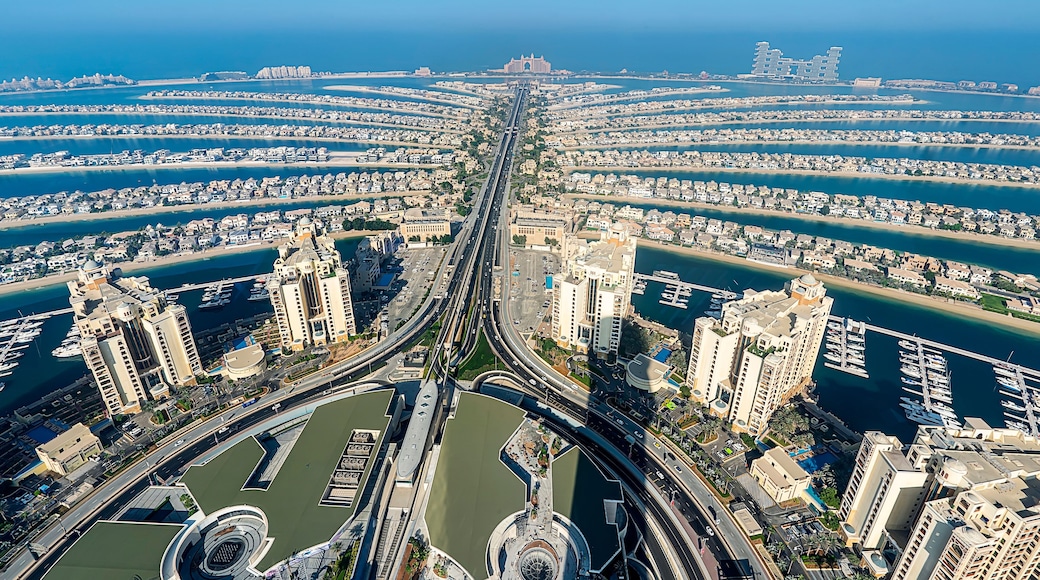Dubai island palm tree from top view