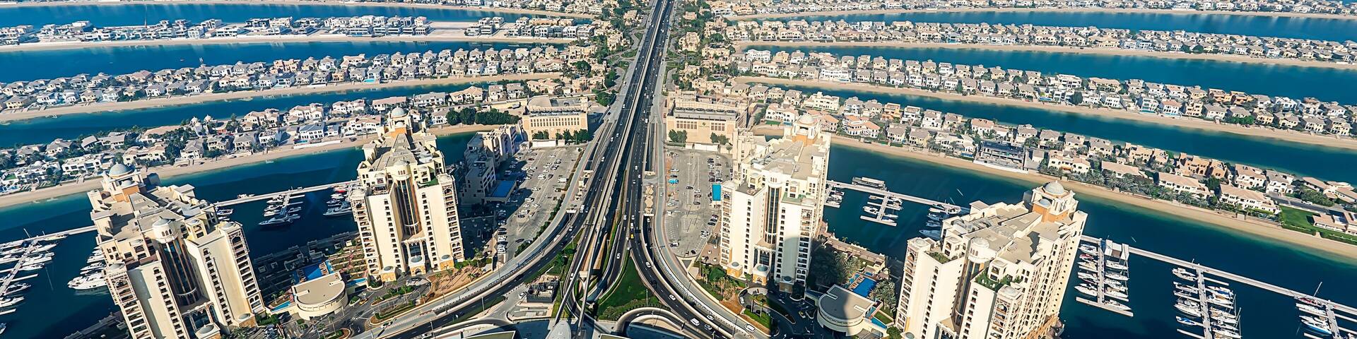 Dubai island palm tree from top view