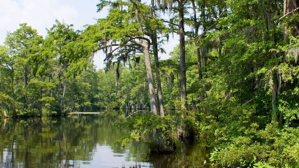 Cypress River
