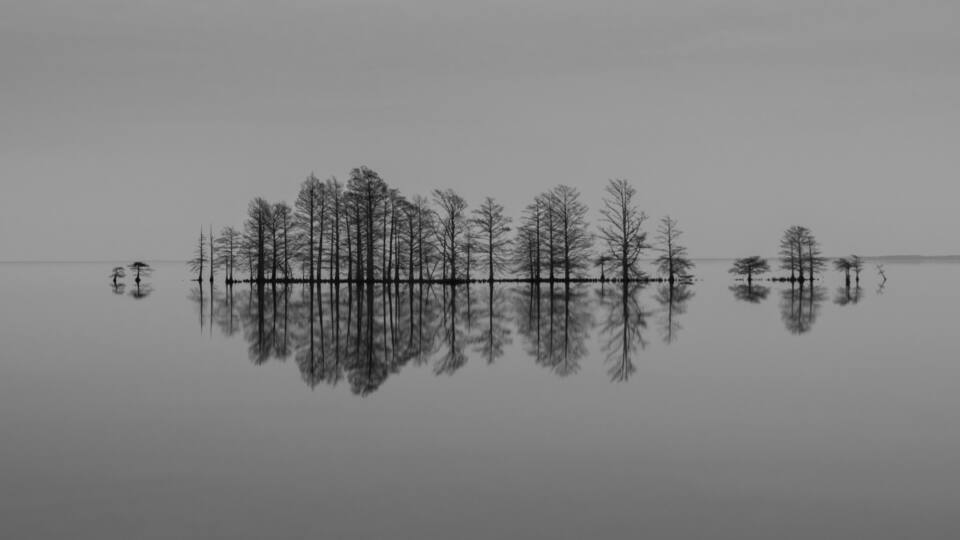 Lake Mattamuskeet, MATTAMUSKEET NATIONAL WILDLIFE REFUGE, Swan Quarter NC