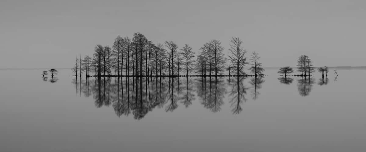 A calm lake with a reflection of leafless trees.