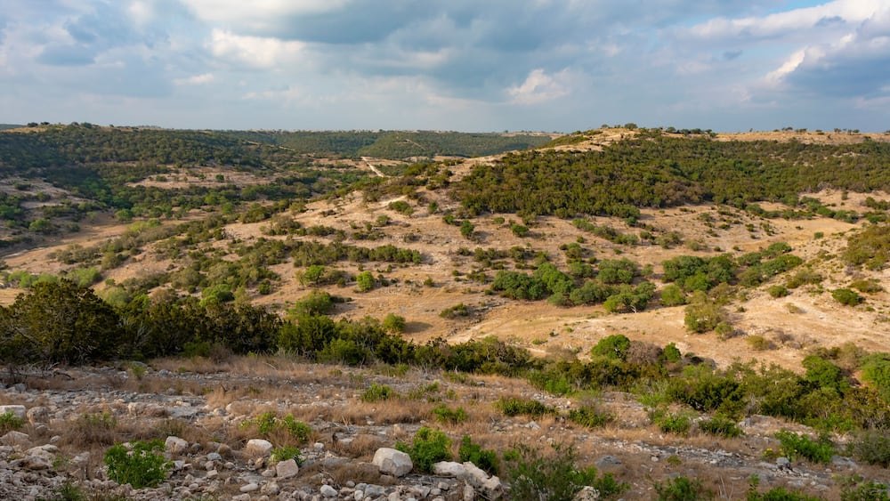 Late in the day in a remote area in Texas Hill country