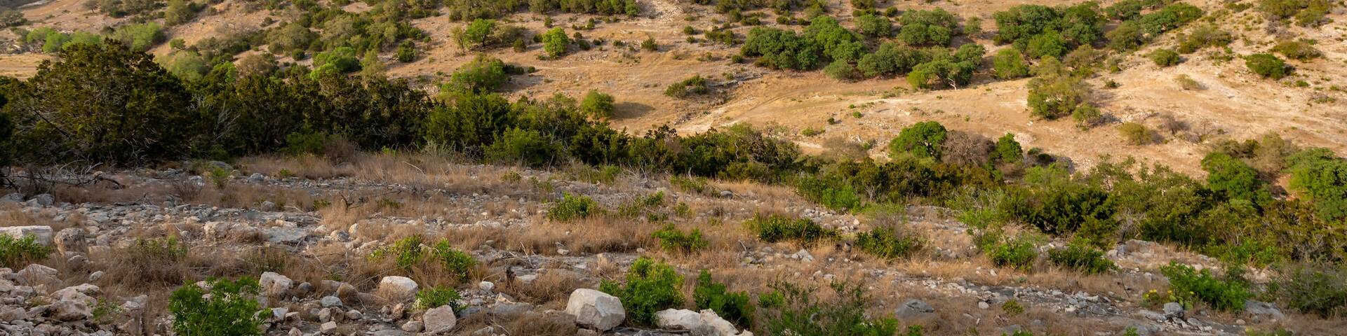Late in the day in a remote area in Texas Hill country
