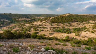 Late in the day in a remote area in Texas Hill country
