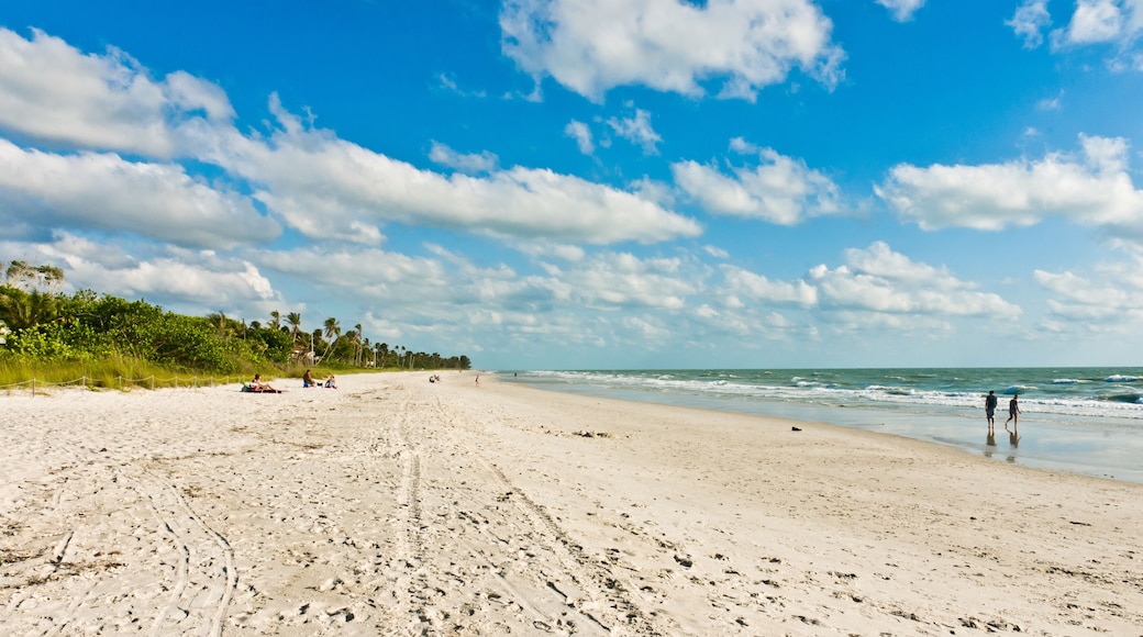 Front view, long distance of families moving across a white, sandy beach to the shoreline of a tropical, park on the Gulf of Mexico