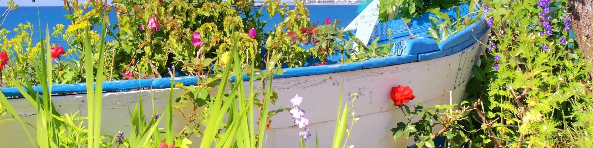 An der Calle del Real