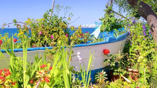 An der Calle del Real