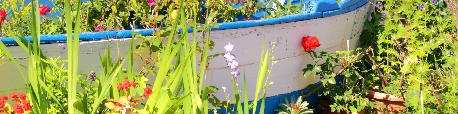 An der Calle del Real