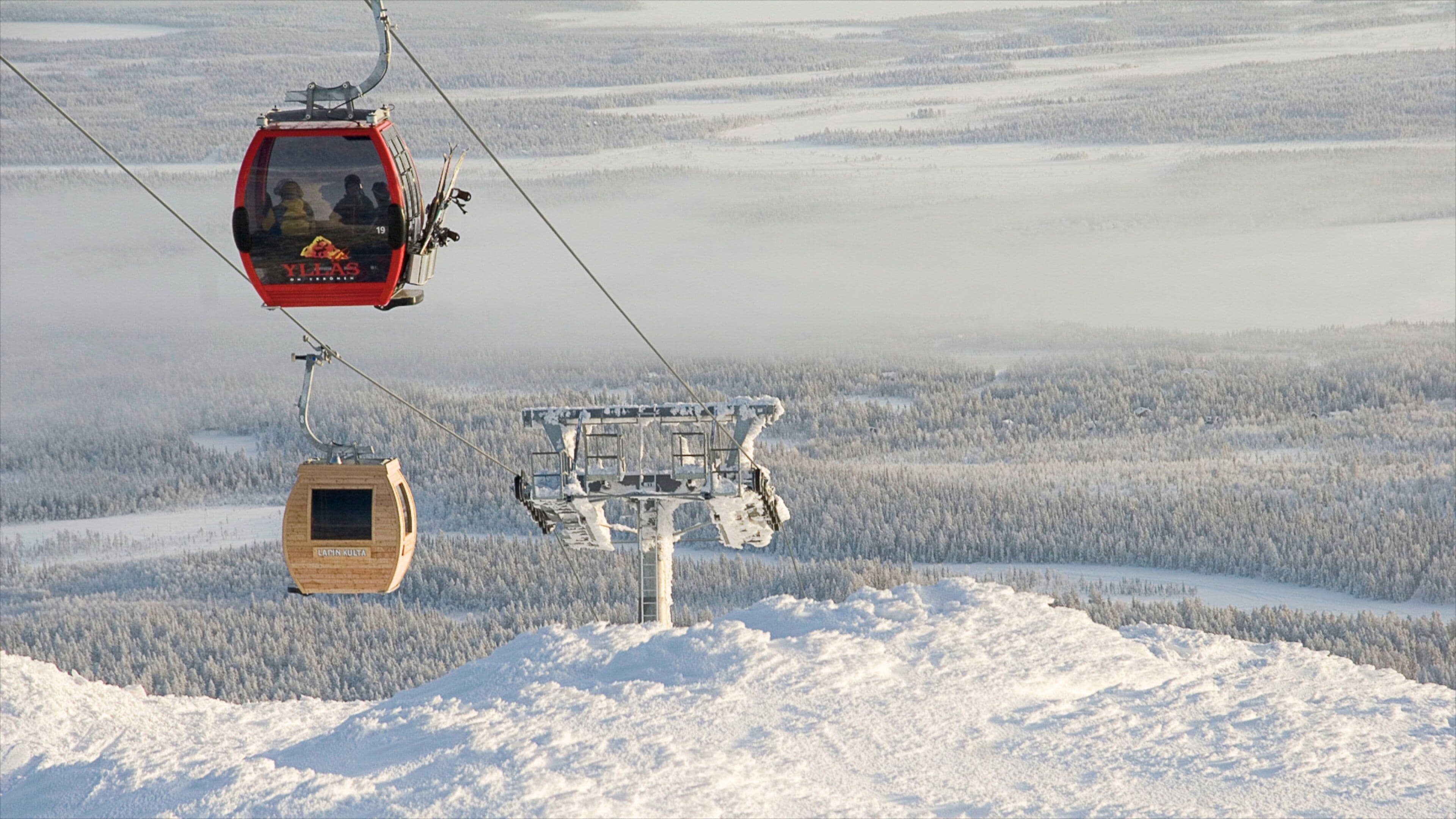 A cable car system in a snowy forest.