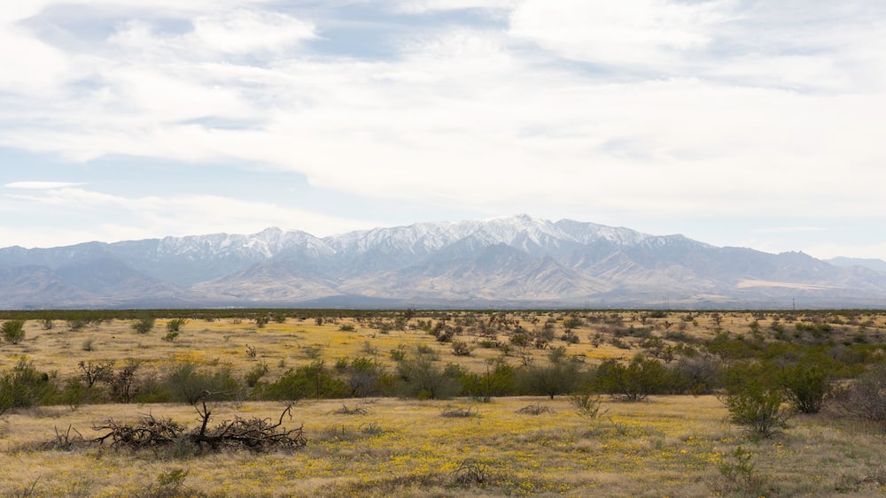 A desert landscape with sparse vegetation and a mountain range in the background.