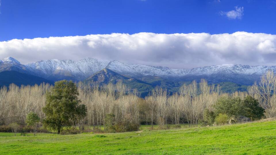 A mountainous landscape with snow-capped peaks, a clear blue sky, and a foreground of green grass and trees.