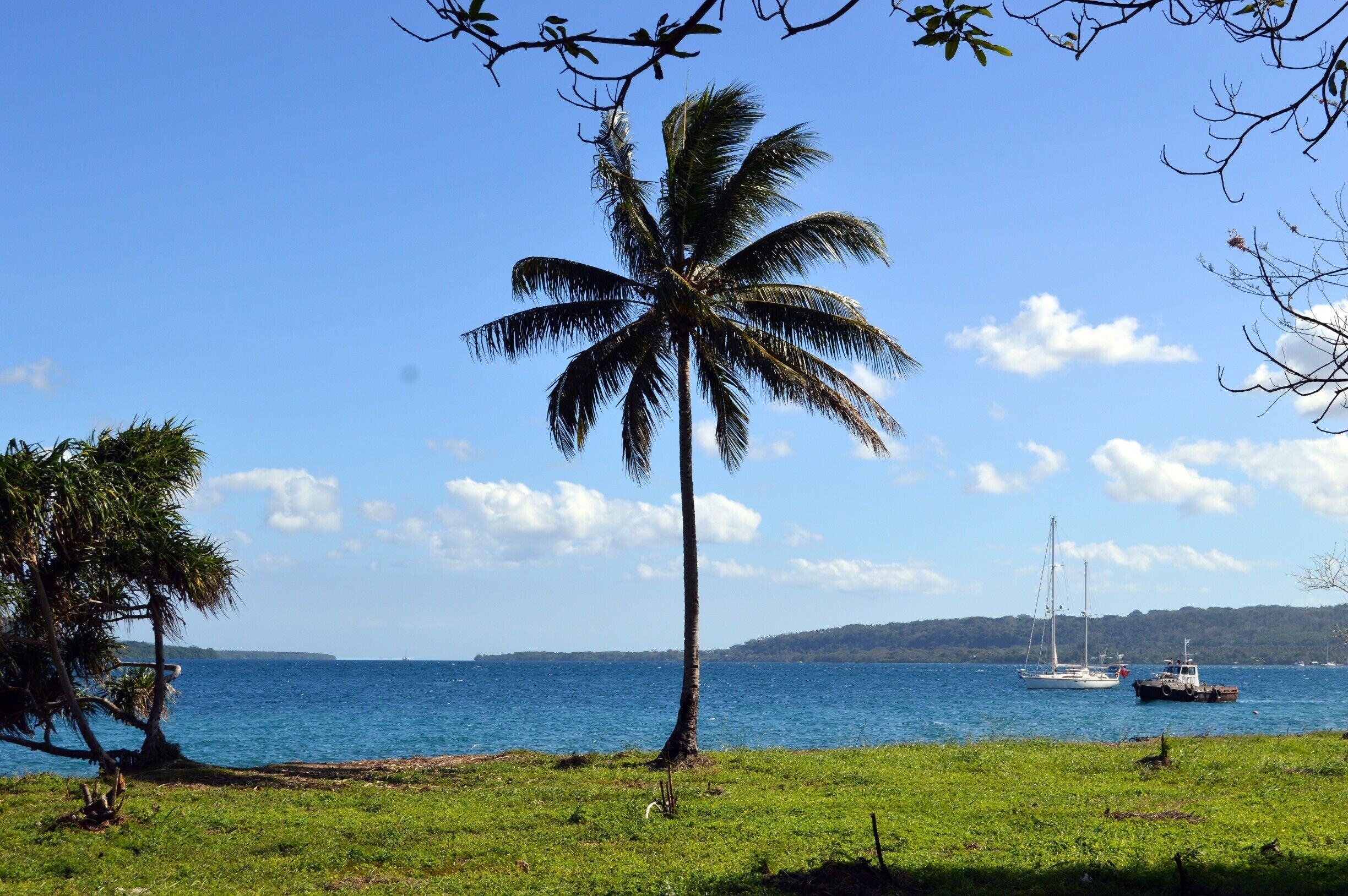 Arrh paradise.   Any photo with Palm trees and water sends me into relaxation mode.  