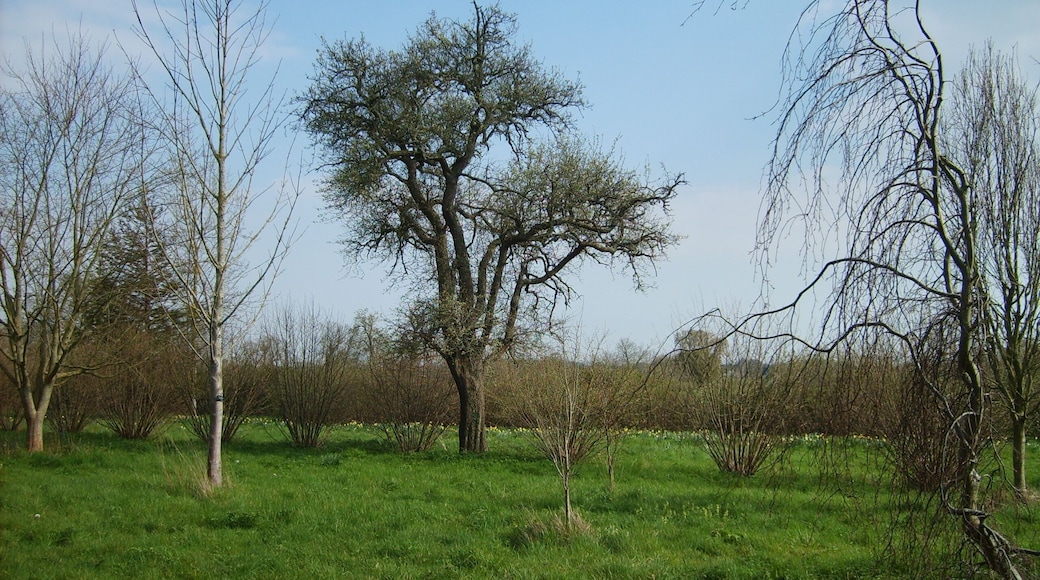 Stansted Park, West Sussex, England.