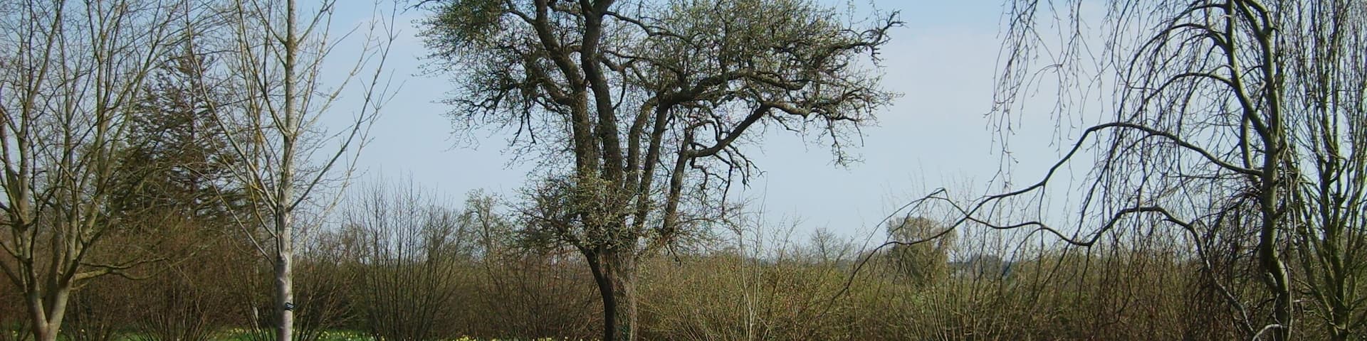 Stansted Park, West Sussex, England.
