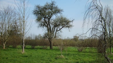Stansted Park, West Sussex, England.