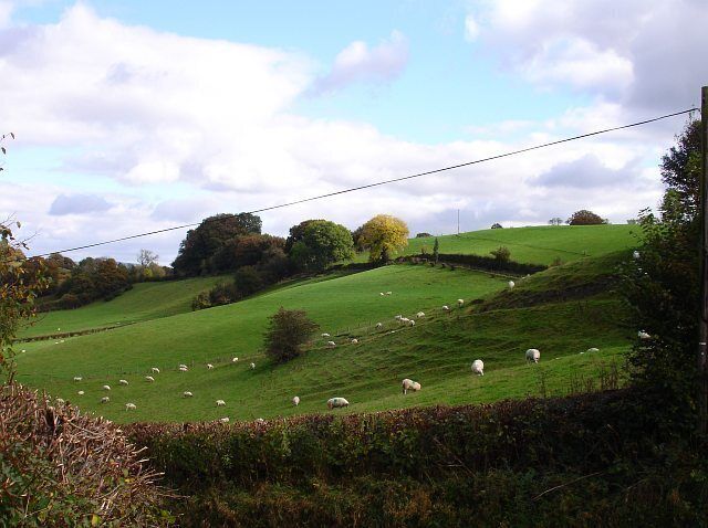 East from the B4568 Rolling pasture near Garn Wood.