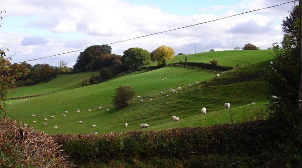 East from the B4568 Rolling pasture near Garn Wood.