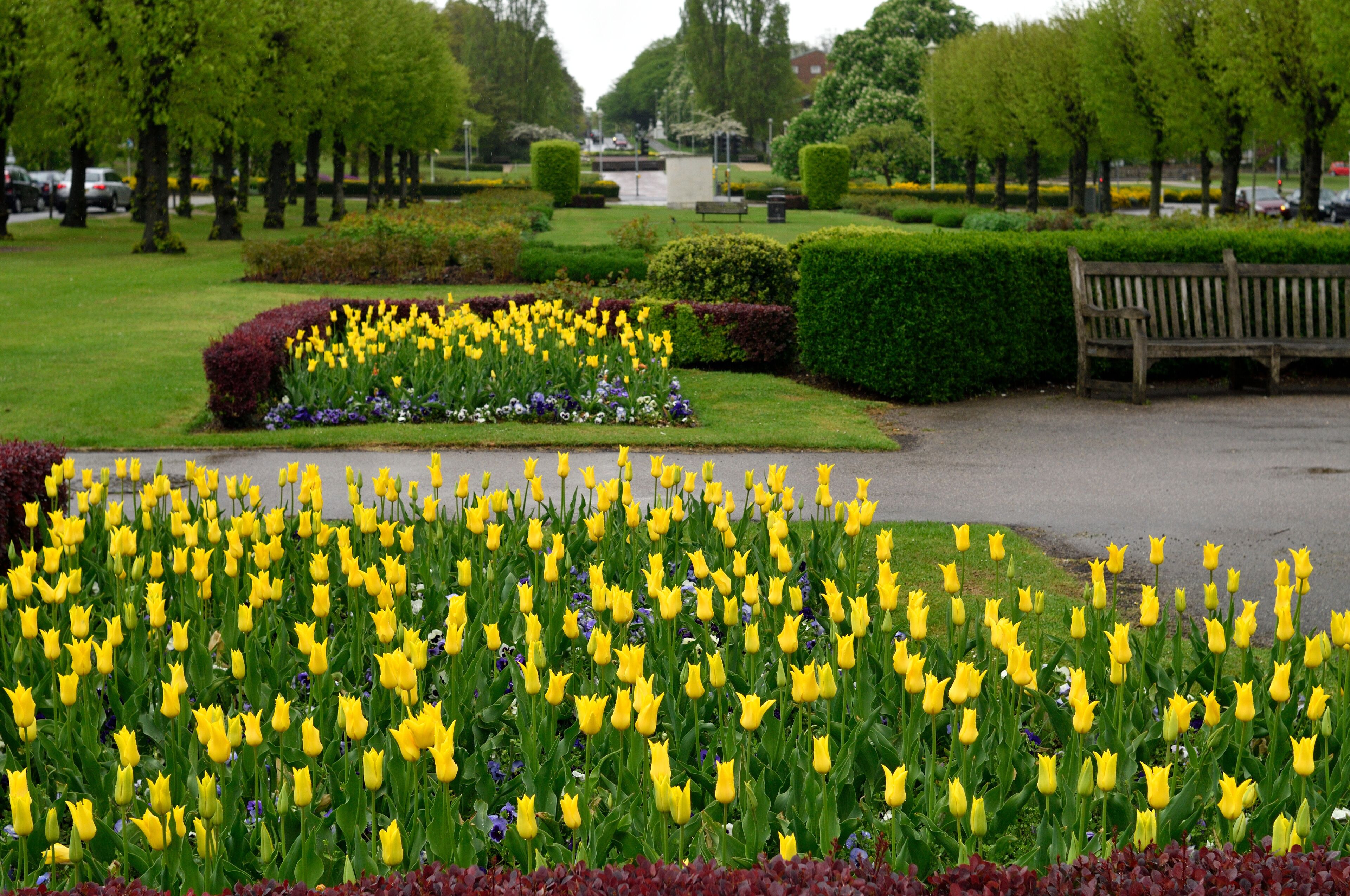 イギリスの田園都市：ウェリン・ガーデンシティの街並み