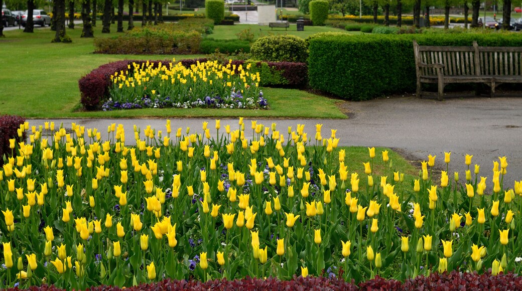 イギリスの田園都市:ウェリン・ガーデンシティの街並み