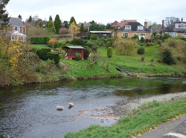 Cygnets on the Severn, Newtown A peaceful river for a change after a summer of heavy rains. Compare with the high water level seen here https://www.geograph.org.uk/photo/993448 the following year. The summer house has not been moved.