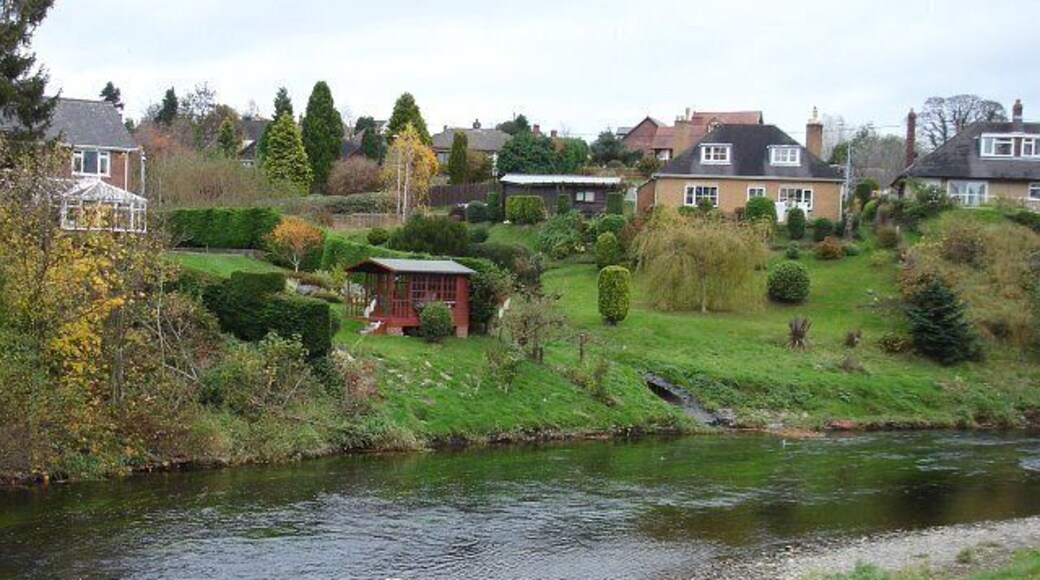 Cygnets on the Severn, Newtown A peaceful river for a change after a summer of heavy rains. Compare with the high water level seen here https://www.geograph.org.uk/photo/993448 the following year. The summer house has not been moved.