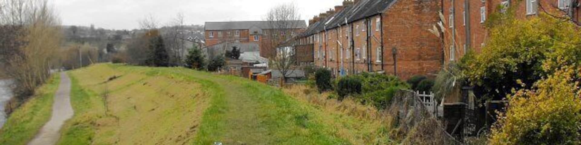 The back of Dysart Terrace. The course of the Montgomery canal now forms a flood defence along the river bank for houses on Canal road. The terrace nearest the camera is Severnside Cottages and beyond that, Dysart Terrace 586736. The lower floor of both terraces is below the level of the road. The large brick building in the centre of the photo is Cymric Mill, now residential apartments.