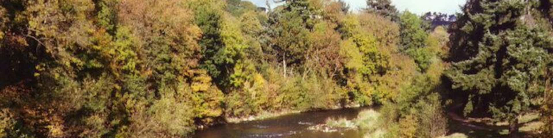 River Severn entering Newtown The Severn Way cross the river by a pedestrian bridge to the west of the town. This picture is looking north.