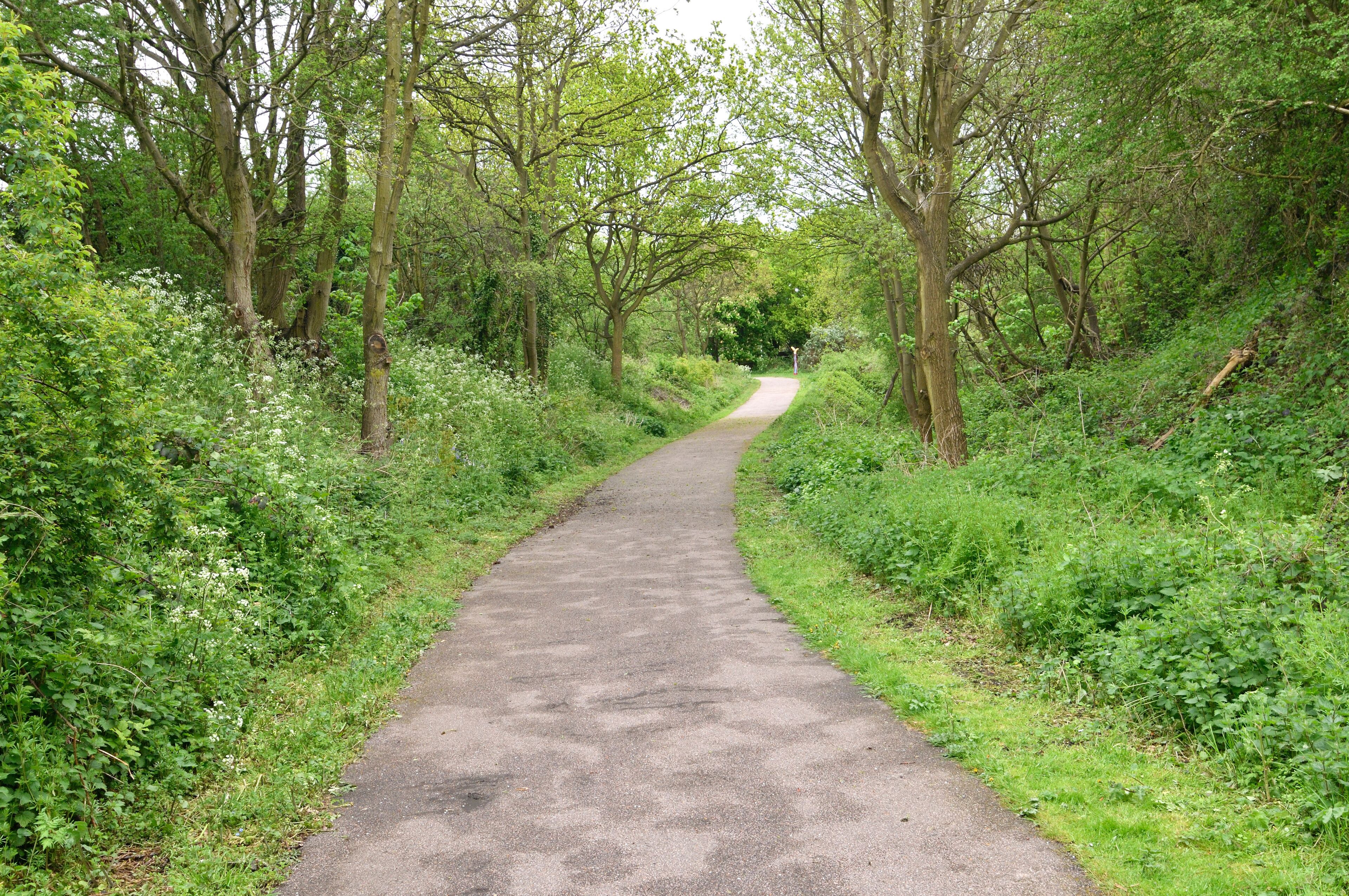 イギリスのニュータウン：ハットフィールドの街並み