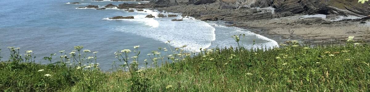 Hartland Quay