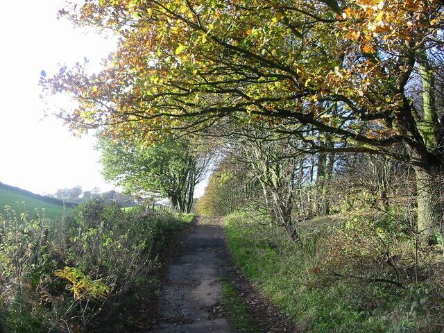 Sandy Lonnen at the junction with Hole Lane Sunniside. Oliver Cromwell is alleged to have marched up Sandy and Clockburn Lonnen with his army. Lonnen is the local word for lane.