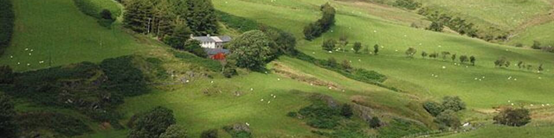 Blaen Ceulan Looking up to the head of the cwm.