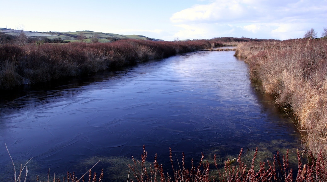 Frozen pool, Cors Fochno (2)