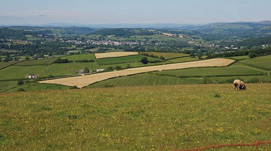 Fields northwest of Derlwyn farm Dropping off the high ground. Lampeter lies in the distance.