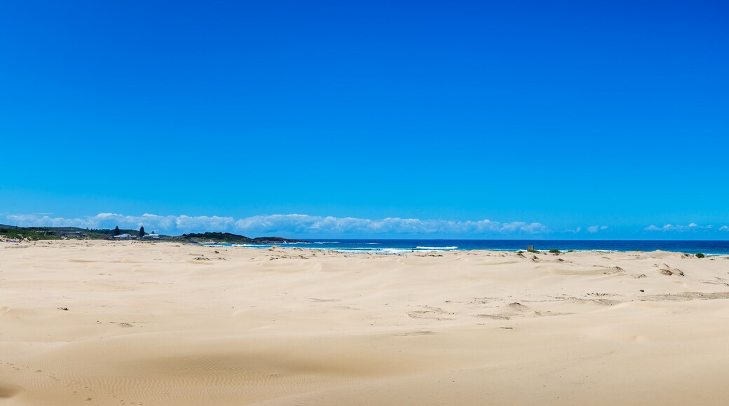 Panorama of Coastline and Sand Beach at Stockton Beach, New South Wales, Australia.