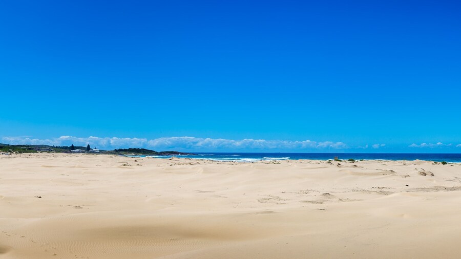 Panorama of Coastline and Sand Beach at Stockton Beach, New South Wales, Australia.
