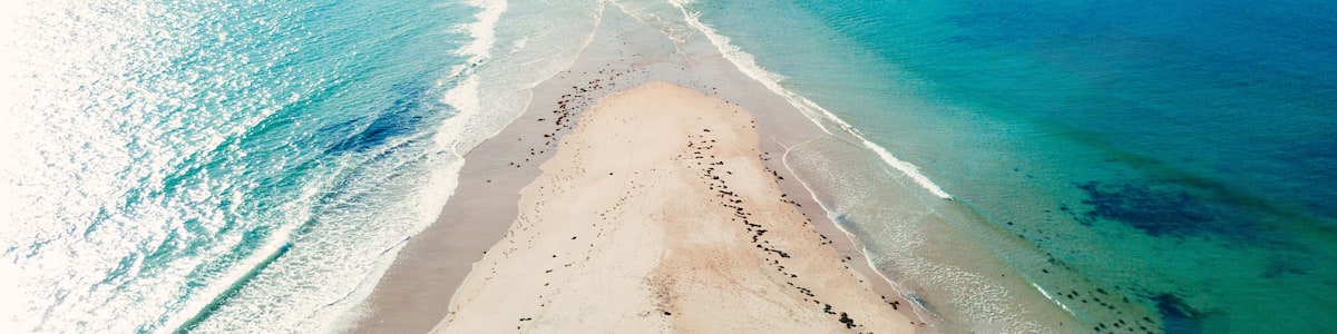 A coastal landscape with a sandy beach, clear turquoise waters, and a hill covered with greenery.