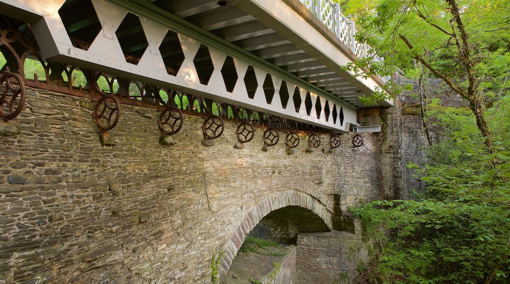 Devil\'s Bridge which includes heritage architecture, heritage elements and a bridge
