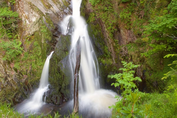 Devils Bridge which includes tranquil scenes, a waterfall and a pond