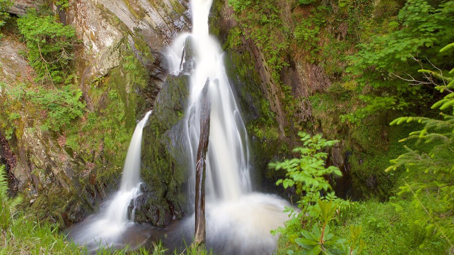 Devils Bridge which includes tranquil scenes, a waterfall and a pond