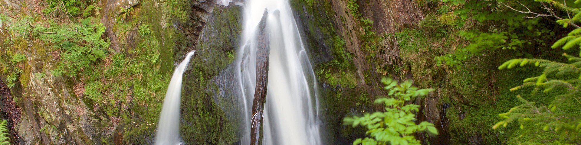 Devils Bridge which includes tranquil scenes, a waterfall and a pond